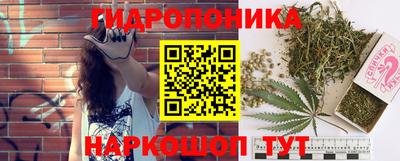 молекула духа Будённовск