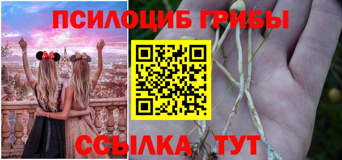 Галлюциногенные грибы Psilocybine cubensis Фрязино